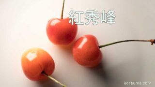 紅秀峰 さくらんぼを通販で取り寄せる