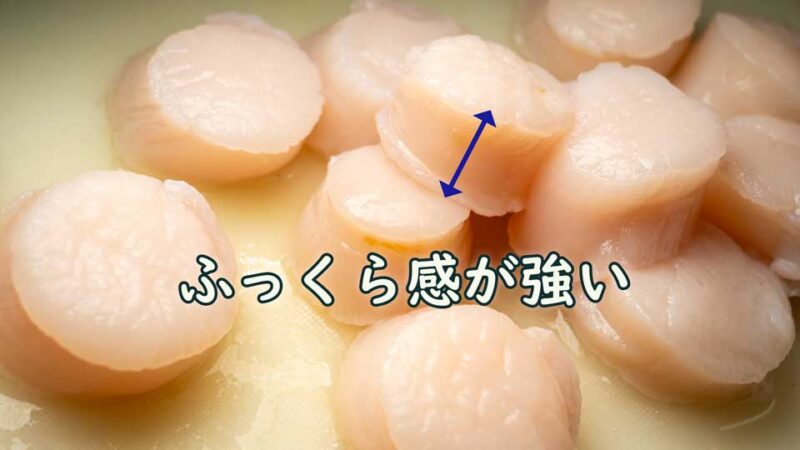 ふっくらしていて厚みがある。 殻付きのホタテをお取り寄せ